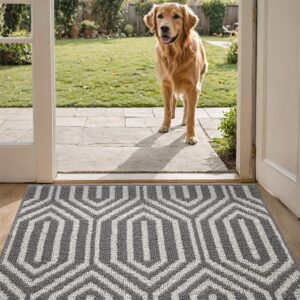 DEXI Indoor Door Mat