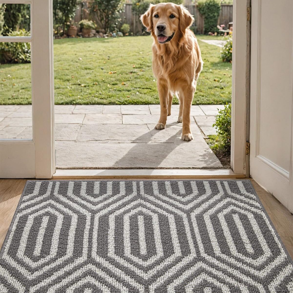 DEXI Indoor Door Mat