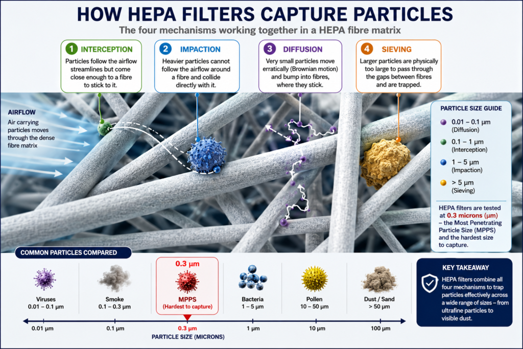 Cross-section of HEPA fibre matrix showing interception, impaction, diffusion, and sieving mechanisms with labelled particle sizes at each stage