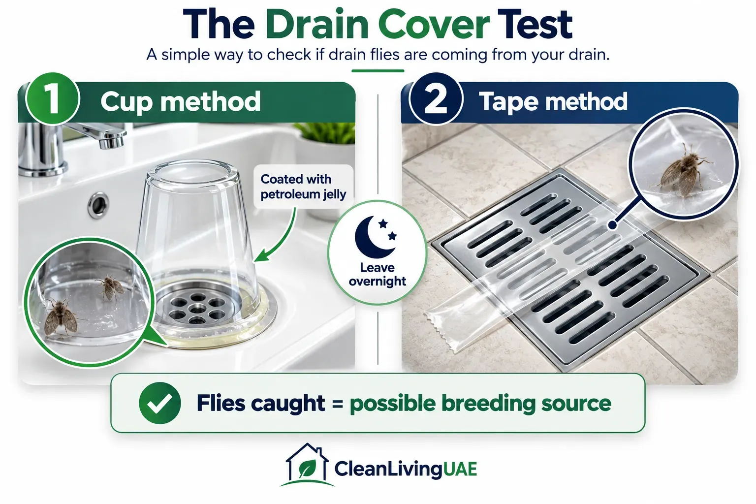 Clear cup and clear tape placed over bathroom drains overnight to check for emerging drain flies