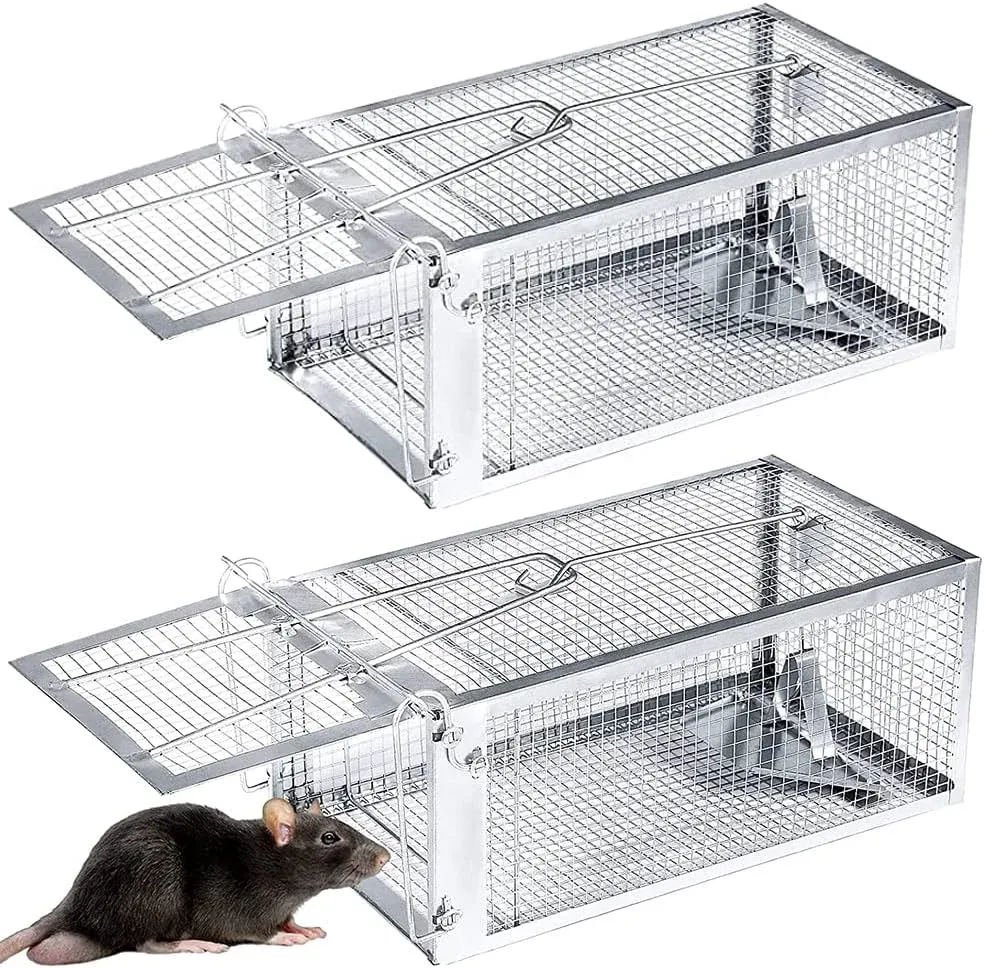 Two metal live-capture cage rat traps