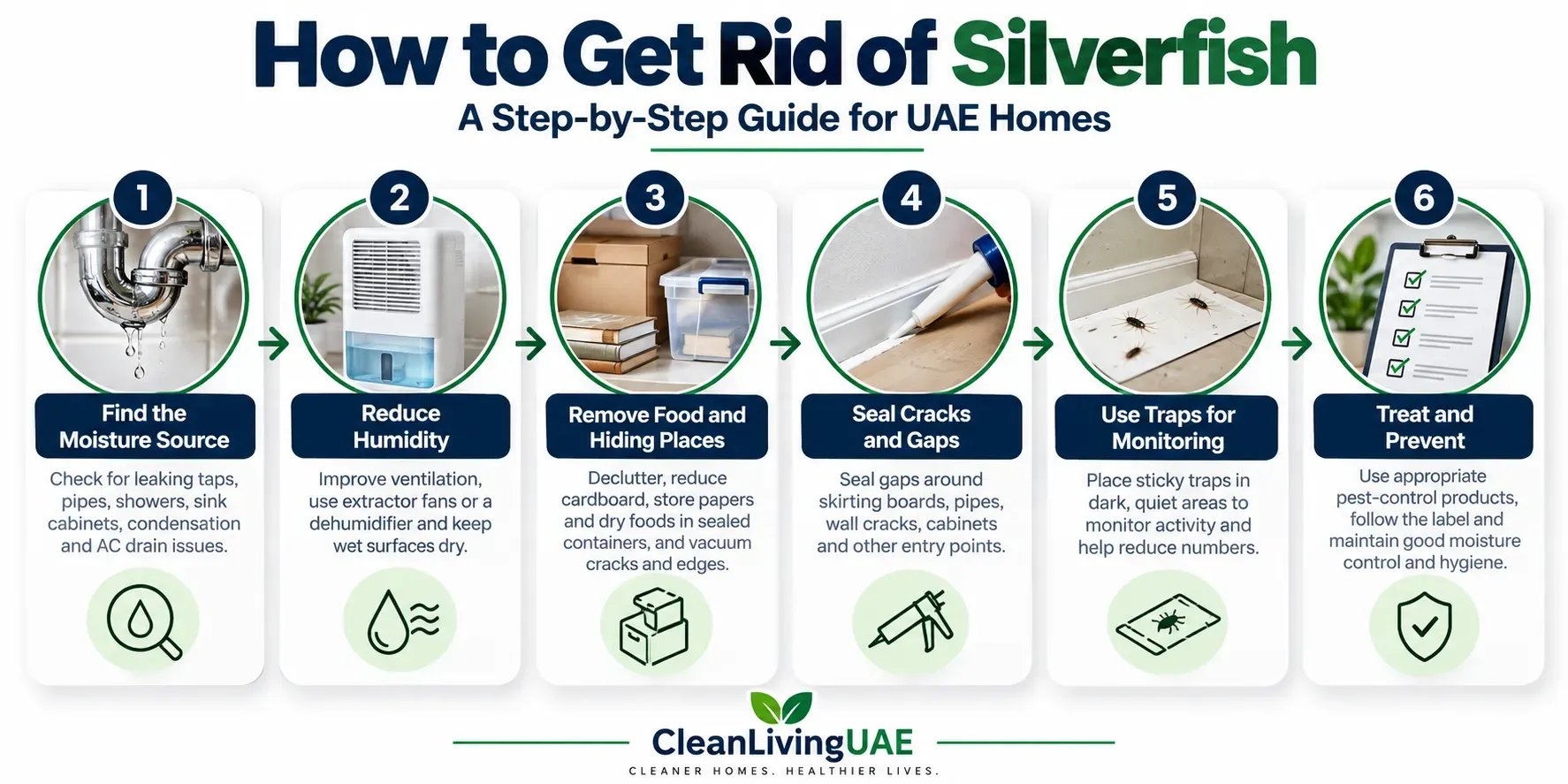 Six-step flow from moisture inspection to drying, decluttering, sealing, monitoring and professional help