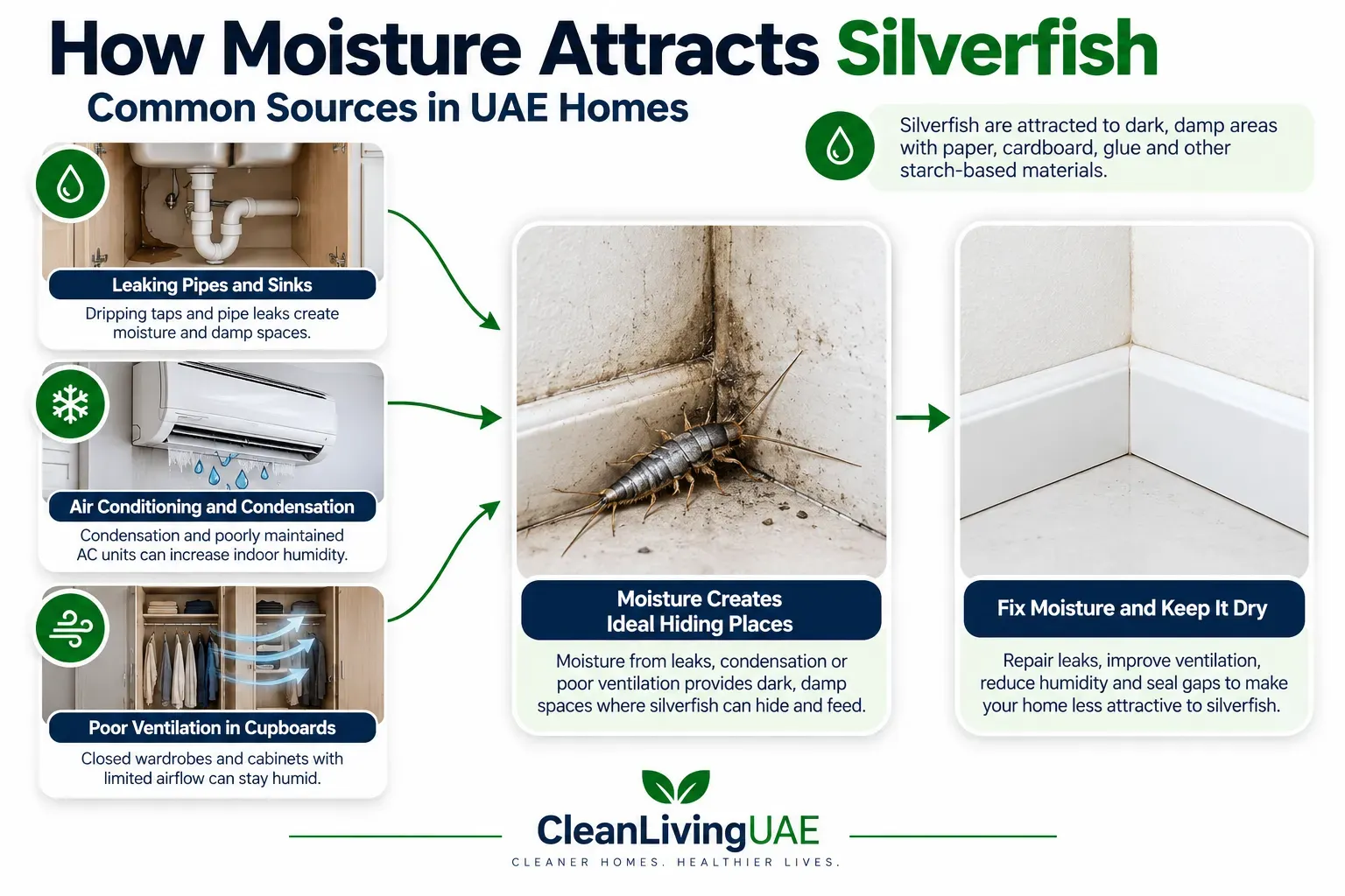 Graphic showing how leaks, condensation and poor ventilation create damp spots that favour silverfish