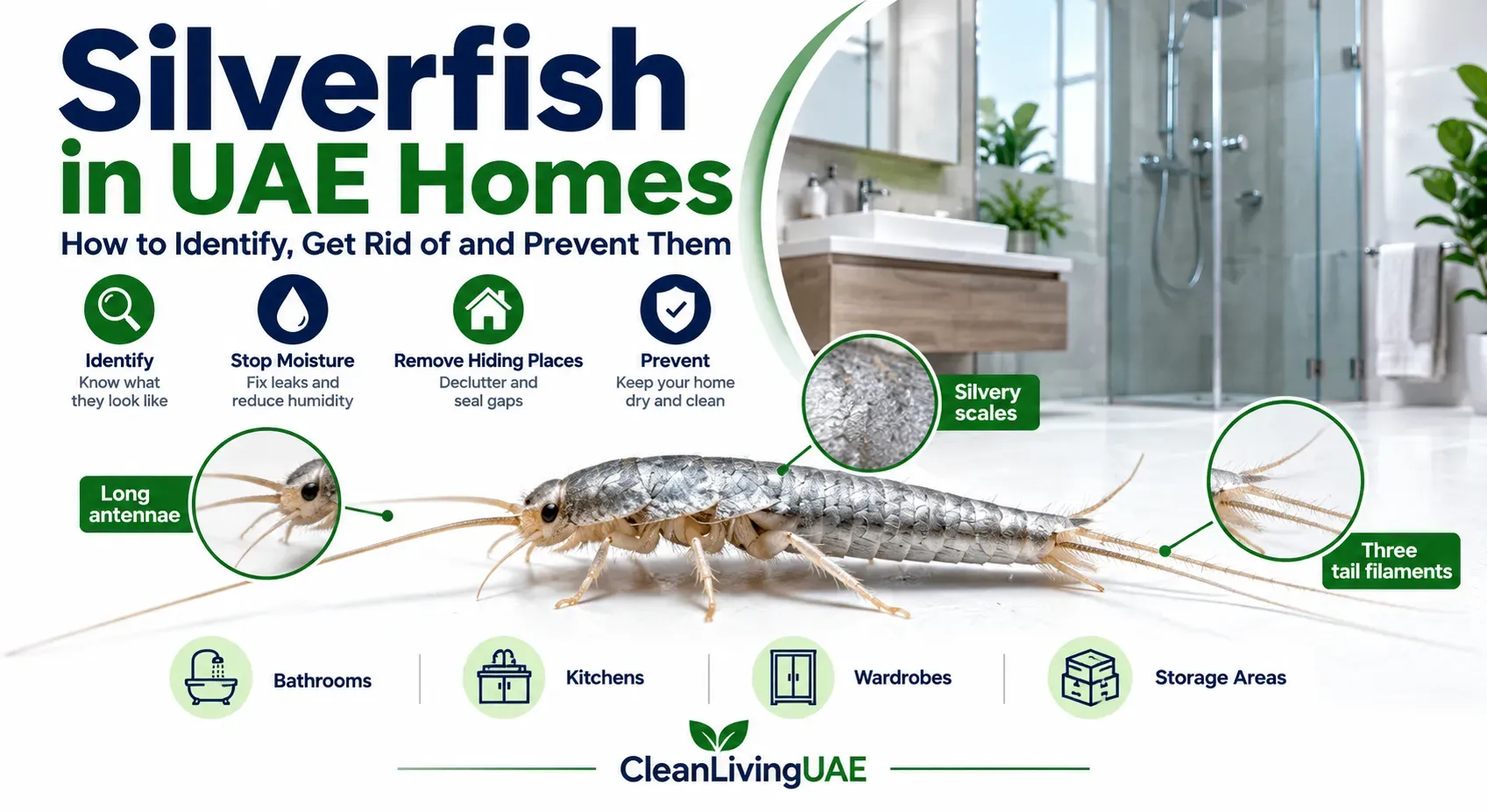 Silverfish on a white bathroom tile in a modern apartment bathroom