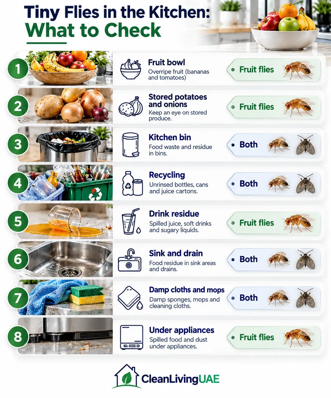 Checklist of kitchen areas to inspect for tiny flies, from fruit bowls and bins to sink drains