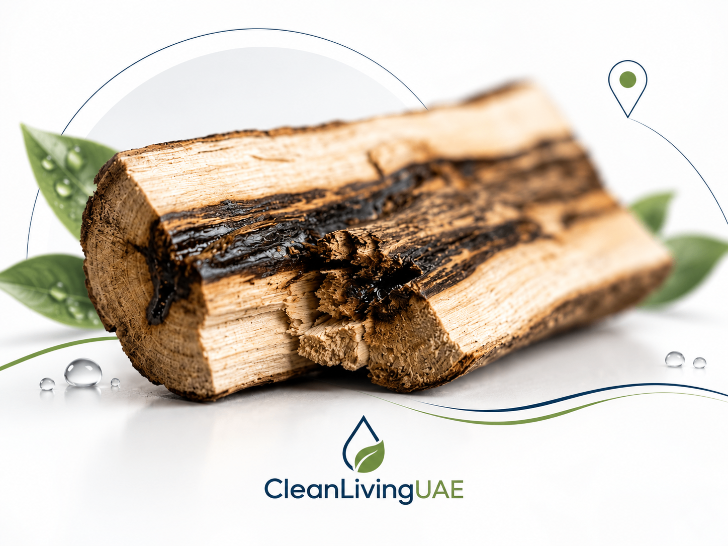 Close-up of agarwood showing dark aromatic resin streaks through the pale heartwood